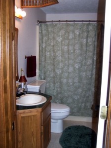 Lower Level Bathroom